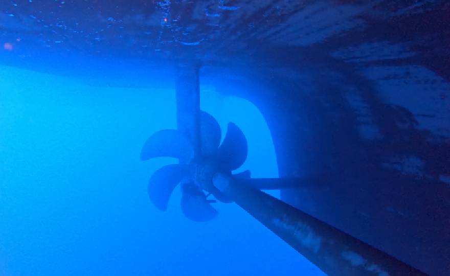 Nippon Paint Marine’s AQUATERRAS Biocide Free Self-Polishing Coating proves successful in independent study of its effects on marine life